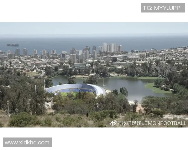 智利足球明星索萨的传奇旅程与辉煌成就回顾 智利足球明星索萨的传奇旅程与辉煌成就回顾