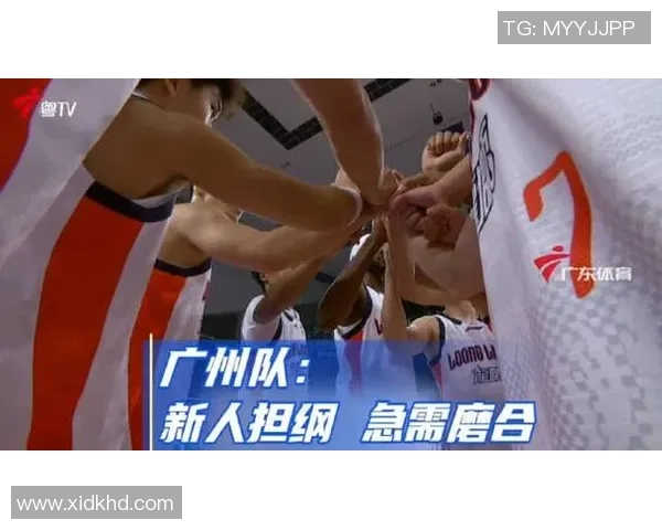 广州篮球队实力大变革引发热议球迷期待新赛季精彩表现