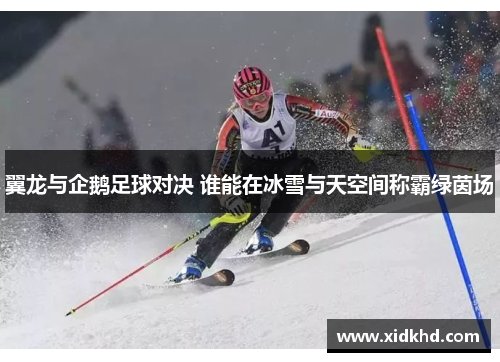翼龙与企鹅足球对决 谁能在冰雪与天空间称霸绿茵场